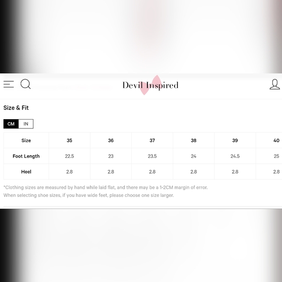 Lolita Lace Up Pink Ballet Flats - Picture 9 of 10